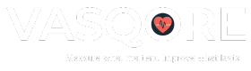 Vasqore Logo